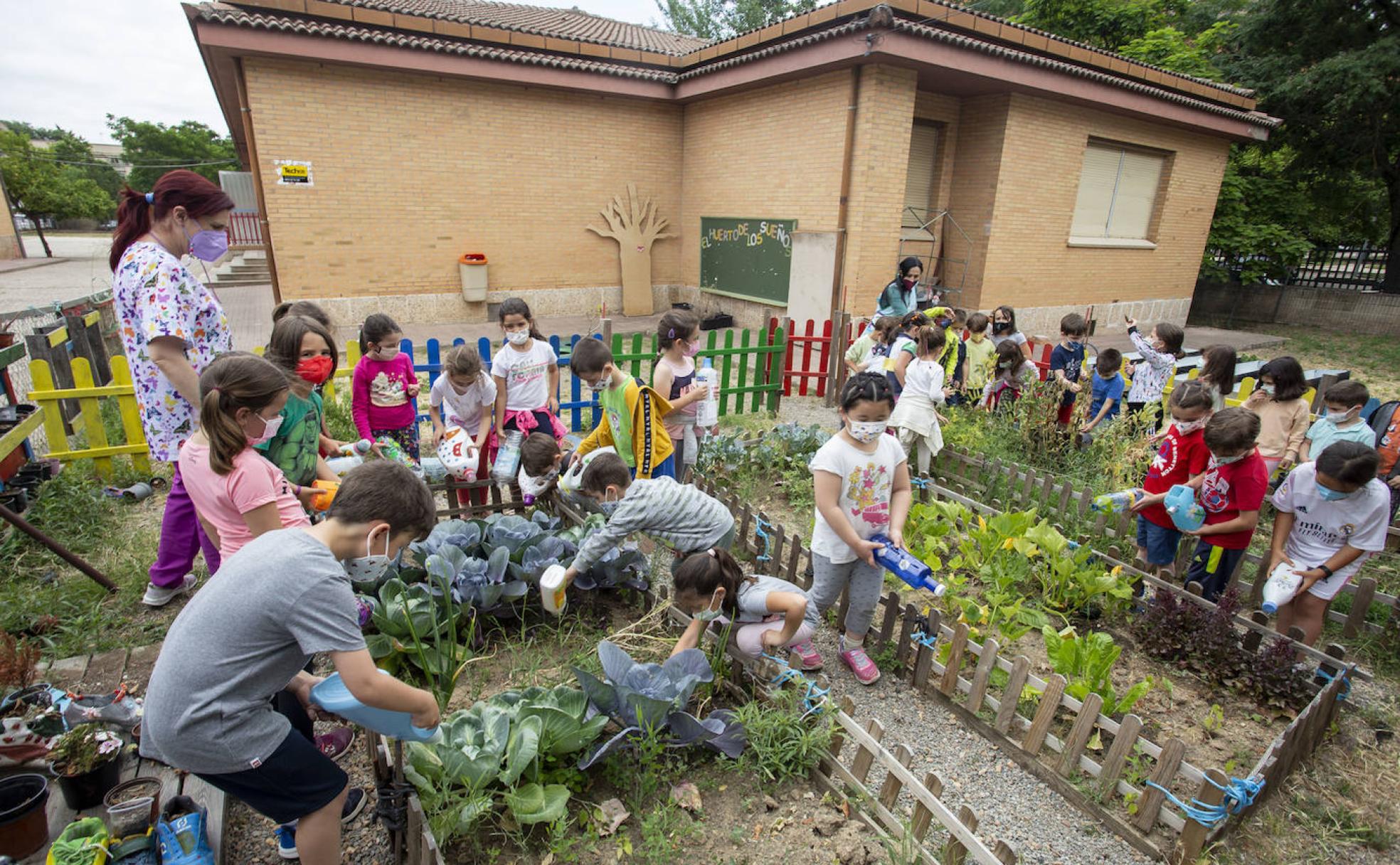 A Casa Con Las Hortalizas Del Huerto Escolar Hoy 7492